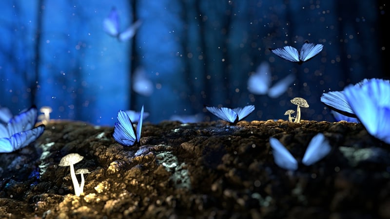 Fireflies