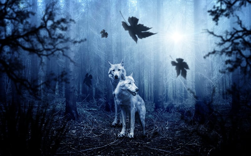 Moonlit Clearing
